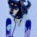 Entry image for Lucy