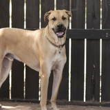 Entry image for Tucker