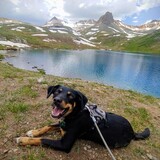 Entry image for Jazzy