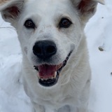 Entry image for Chili Bean