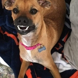 Entry image for Hudson