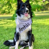 Entry image for Archie