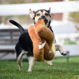 Entry image for Bubbles