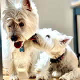 Entry image for Spencer and Sabine