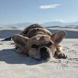 Entry image for Richard