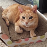 Entry image for Zack