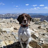 Entry image for Suva