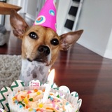 Entry image for Nahla