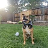 Entry image for Chyna