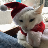 Entry image for Walter White