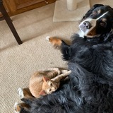 Entry image for Hermosa & Lacy