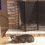 Entry image for Libby