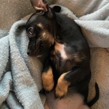 Entry image for Lucy