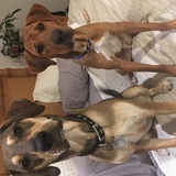 Entry image for Asher (on the Left) and Theo (on the Right)