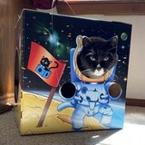 Entry image for Soxie