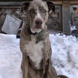 Entry image for George