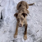 Entry image for George (yes again - this was from last year)