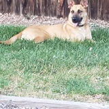 Entry image for Scott