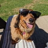 Entry image for Rosie