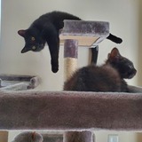 Entry image for Harvey and Stanley