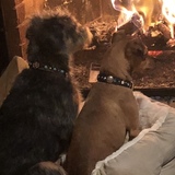 Entry image for Moose and Blix 