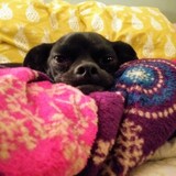 Entry image for Wally