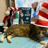 Entry image for Melvin