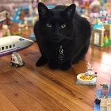 Entry image for Jack