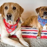 Entry image for Riggs & Odell