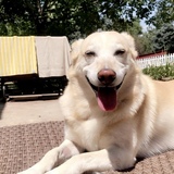 Entry image for Chloe