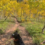 Entry image for Lucy