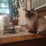 Entry image for Mr. & Mr. M