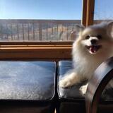 Entry image for Sake