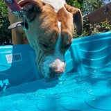 Entry image for Jenny Penny