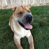 Entry image for Wrinkles