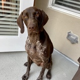 Entry image for Rohan Knox 