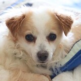 Entry image for Teddi