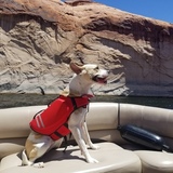 Entry image for Storm