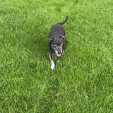 Entry image for Kobe 