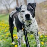 Entry image for Frosty