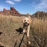 Entry image for Abby