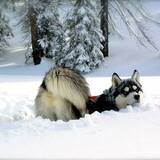 Entry image for Oakley