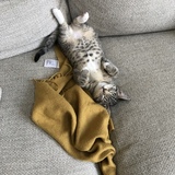 Entry image for Pixel