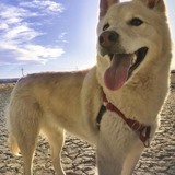 Entry image for Diamond