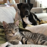 Entry image for Pixel and Max