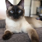 Entry image for Binx 