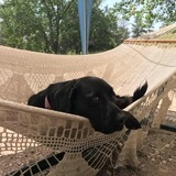 Entry image for Midnight 