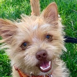 Entry image for Hobbs