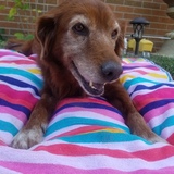 Entry image for Kena