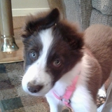 Entry image for Annie Marie